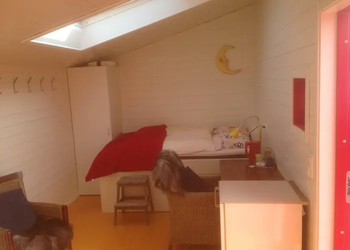 Hostel Tinebua Basecamp Senja *